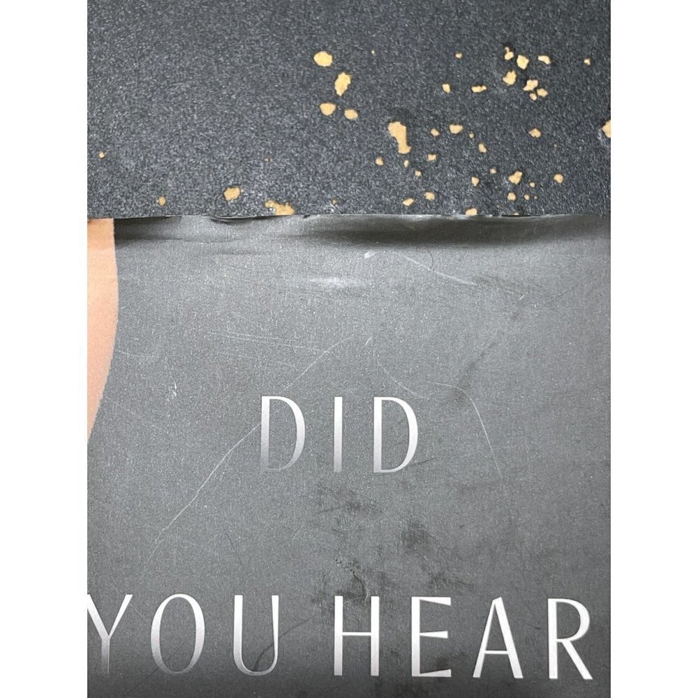 Did You Hear About Kitty Karr? Crystal Smith Paul Novel Fiction Family Saga Hist - Picture 3 of 6